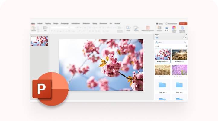 Top Images 2 e1745823889870